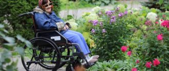 Дом престарелых «Бабушки и дедушки»